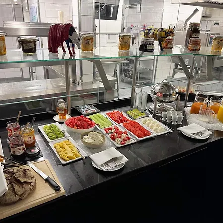 豪斯楚汉萨同盟酒店 3*